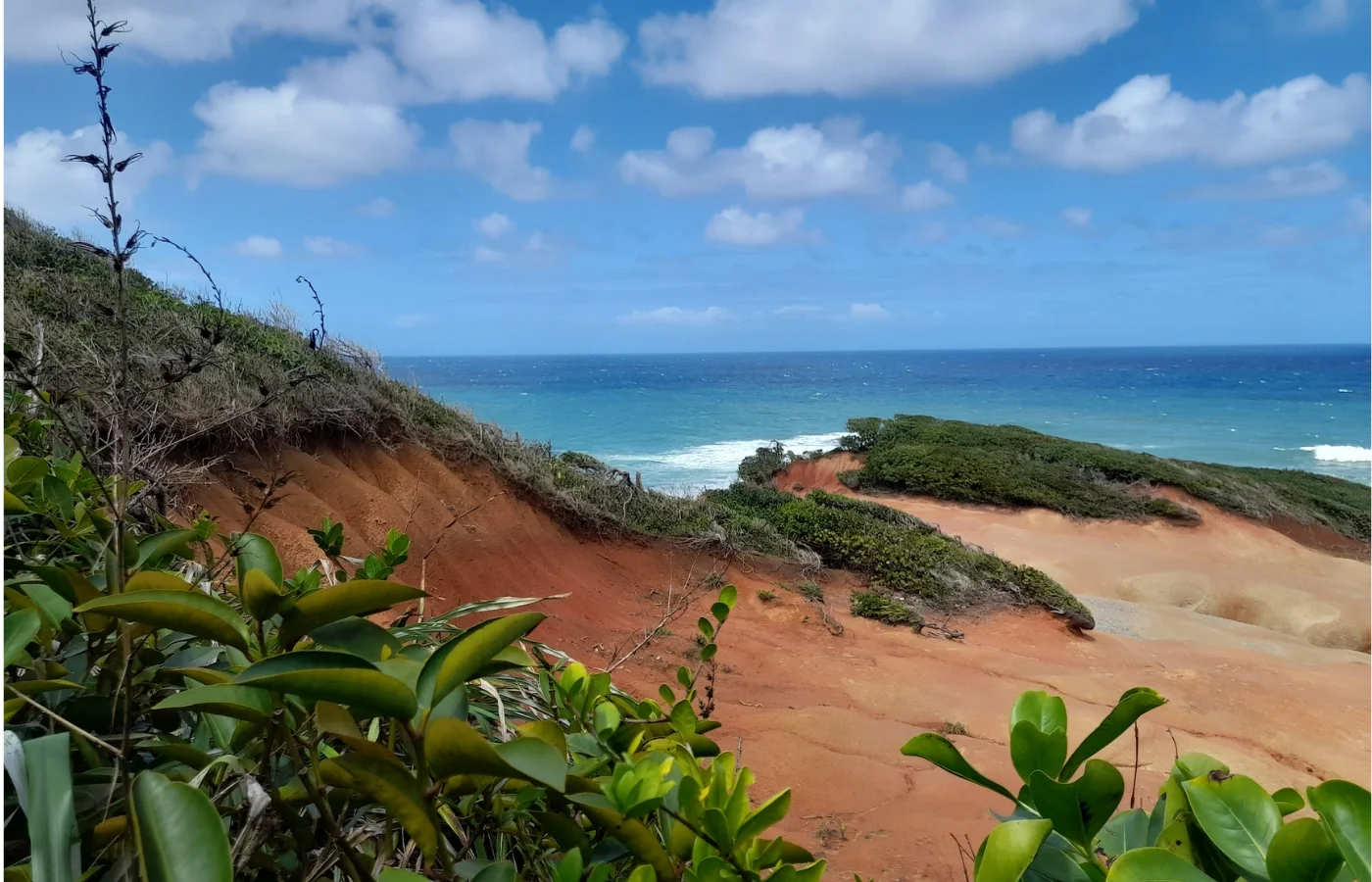 Côte sauvage de la Dominique, plage préservée entre mer et forêt tropicale
