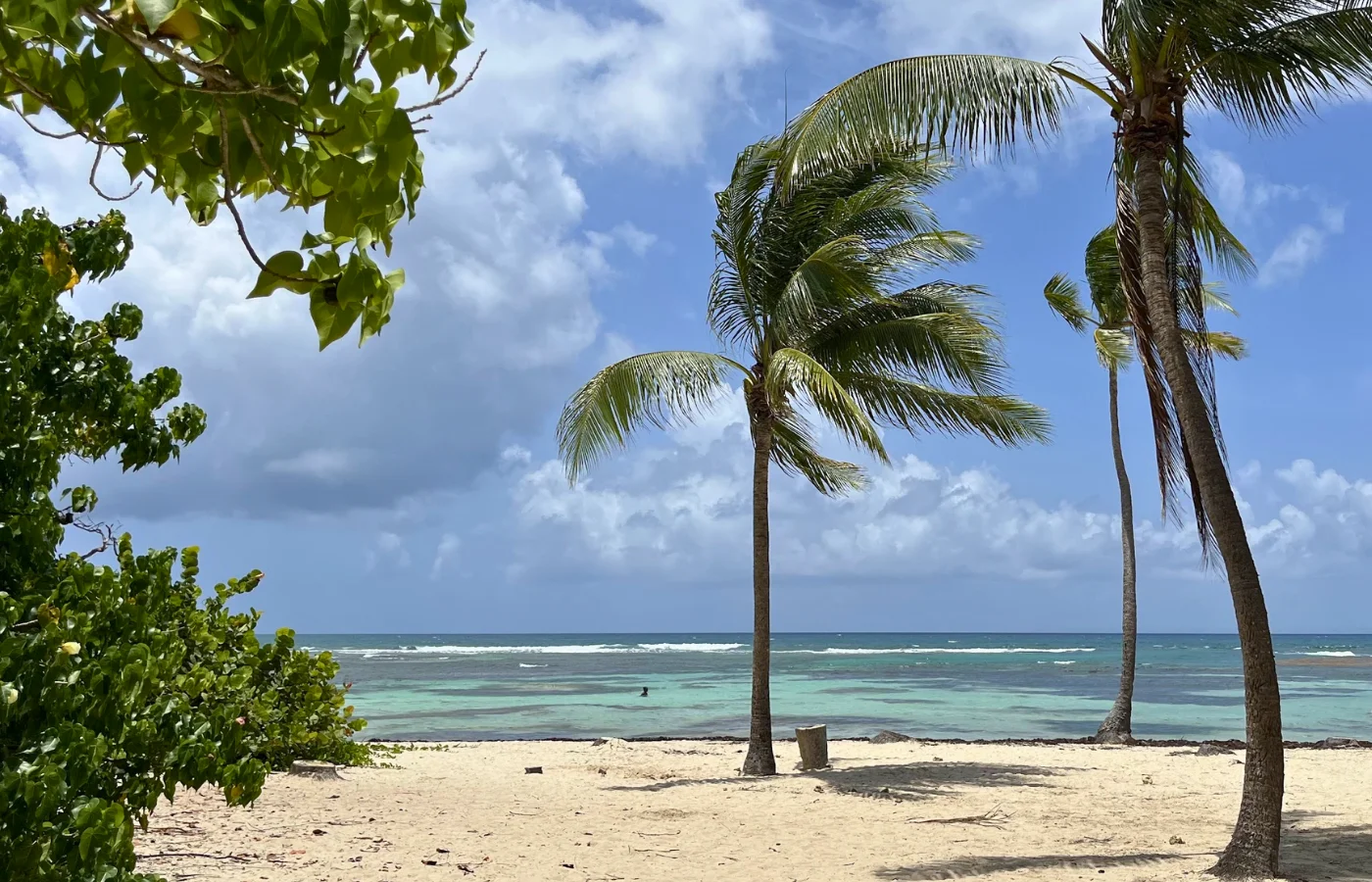 Plage de Grande-Terre en Guadeloupe, eaux turquoise et végétation tropicale