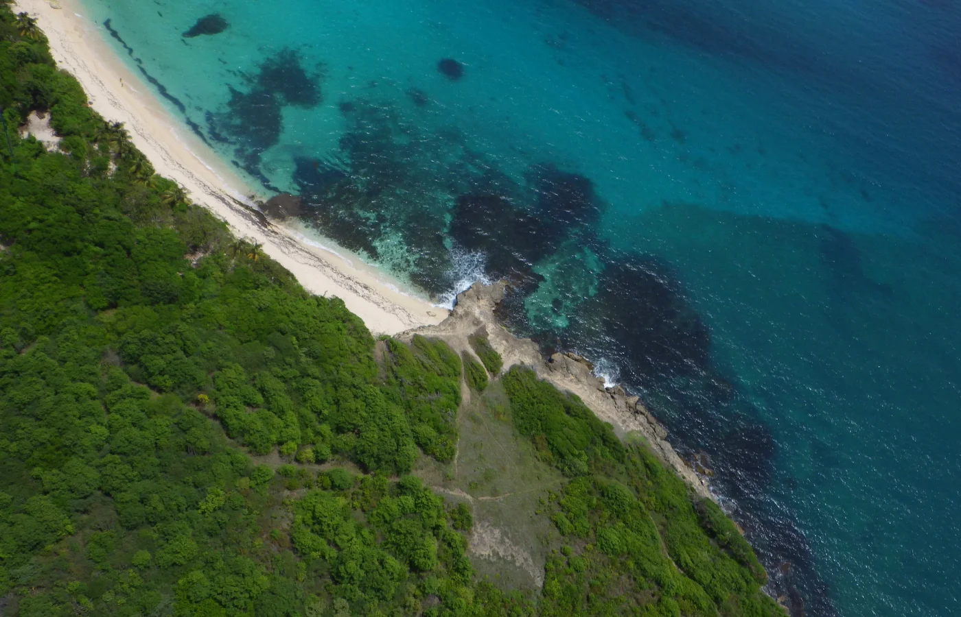 Plage de Cap Macré en Martinique, sable blanc et eaux turquoise côté Atlantique