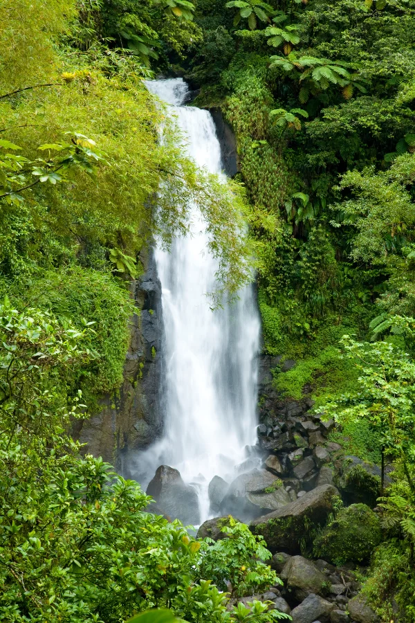 Dominique — île nature des Caraïbes