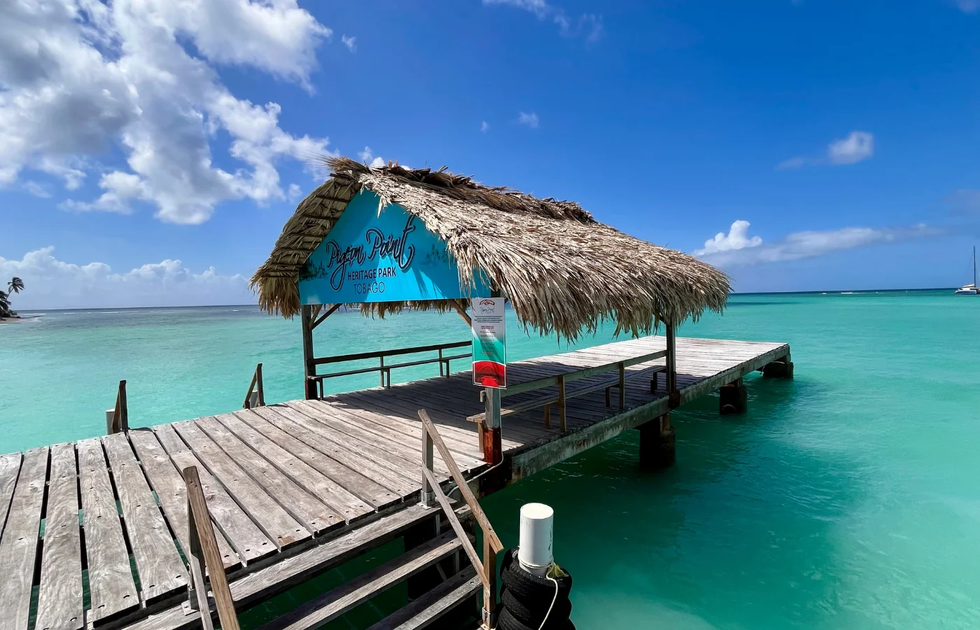 Tobago Cays — snorkelling et barrière de corail