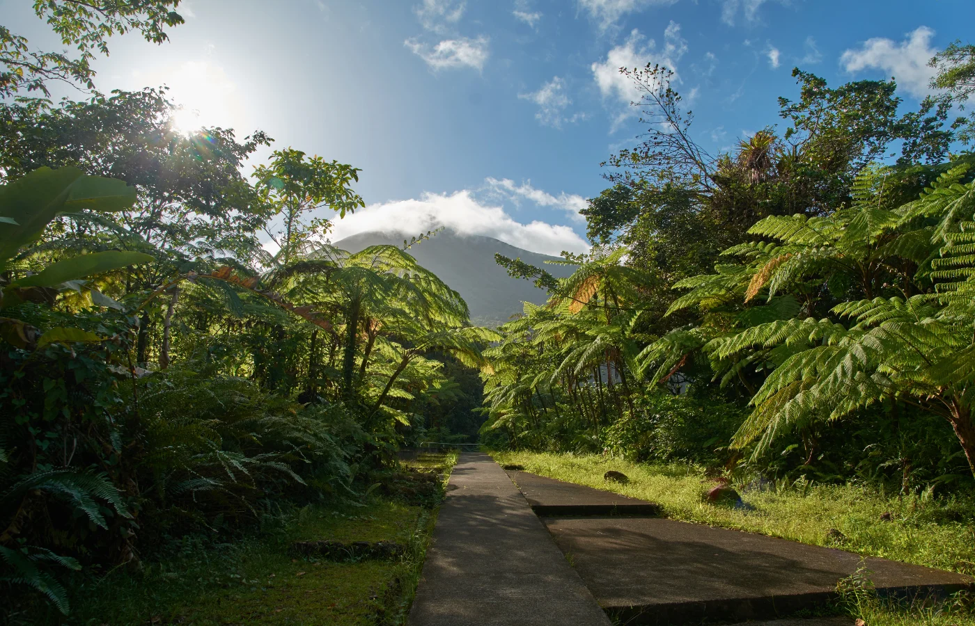 Basse Terre, Guadeloupe — forêt tropicale et cascades