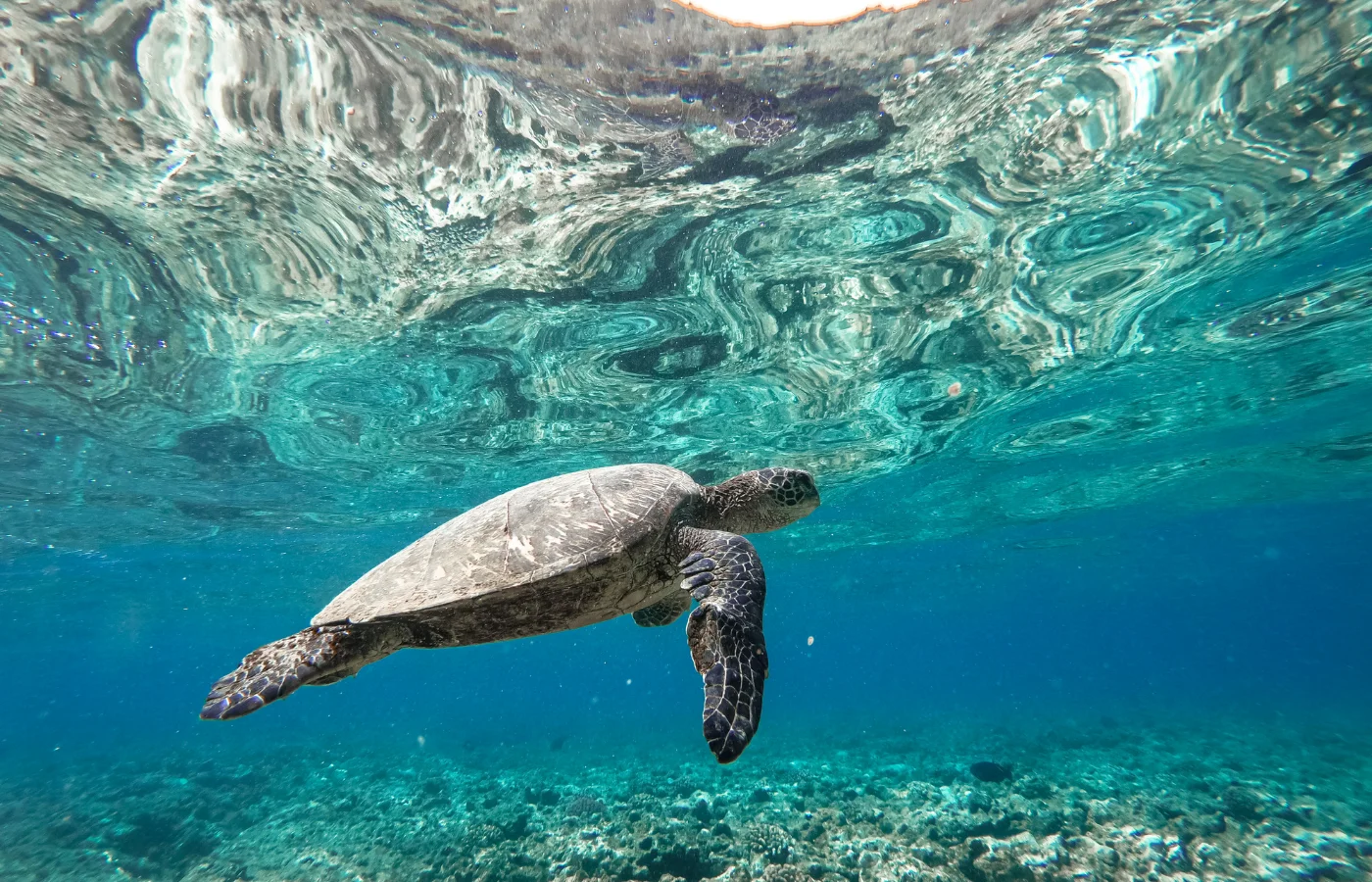 La Désirade, Guadeloupe — île paisible et authentique