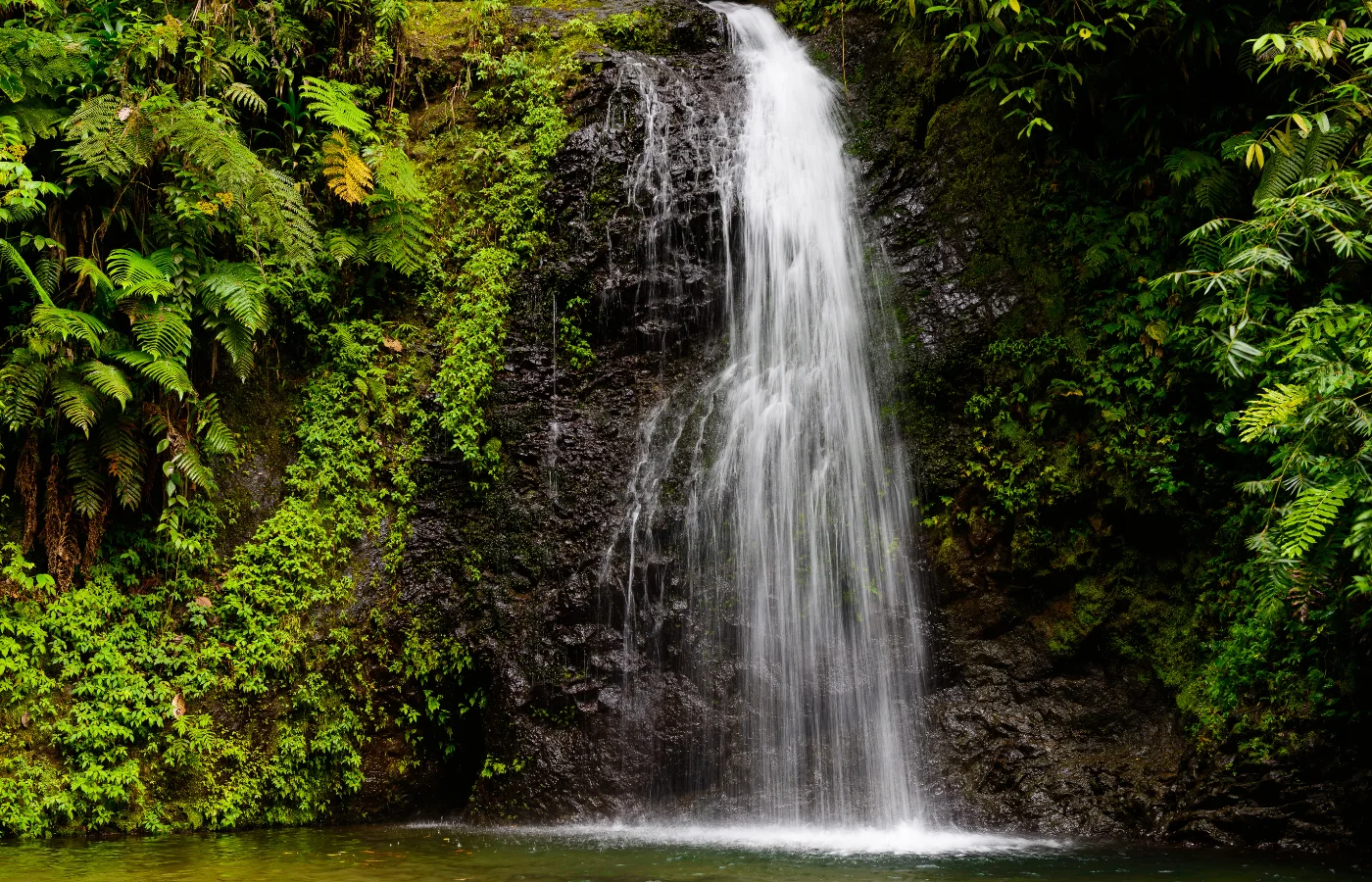 Grand'Rivière, Martinique — village de pêcheurs et randonnée