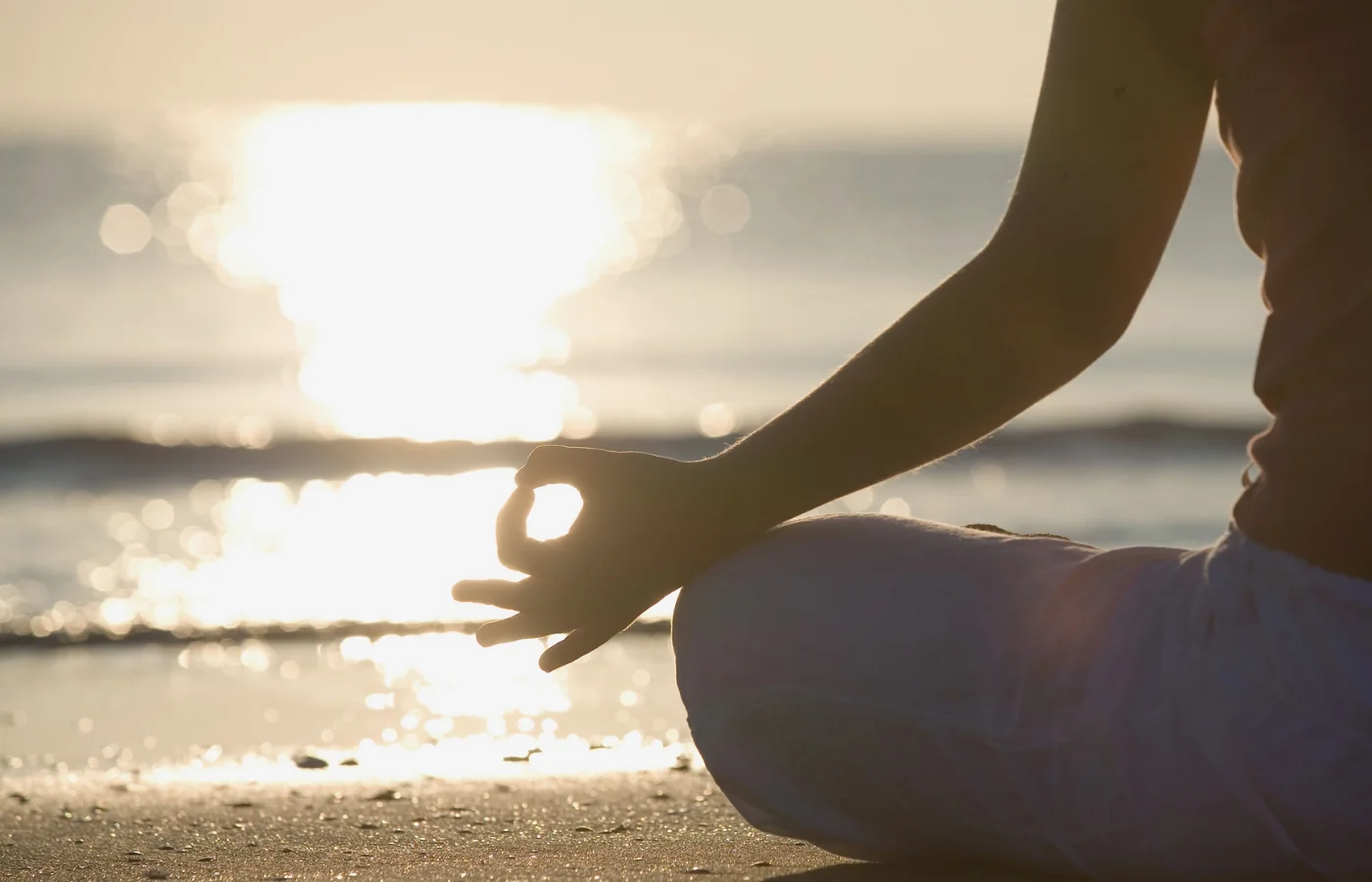 Jardin tropical luxuriant en Martinique pour le yoga et la méditation